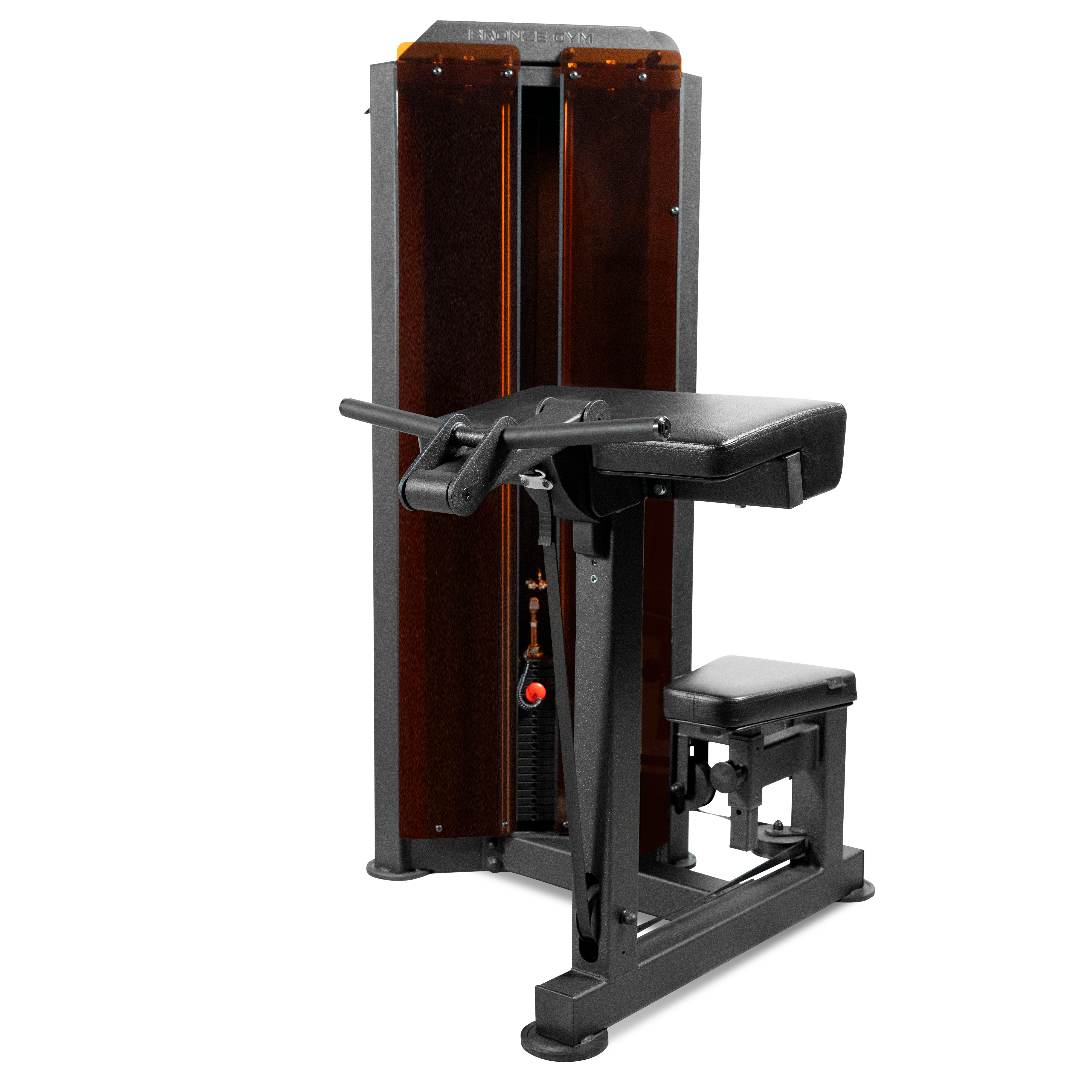 Бицепс машина профессиональный BRONZE GYM PARTNER ML-803