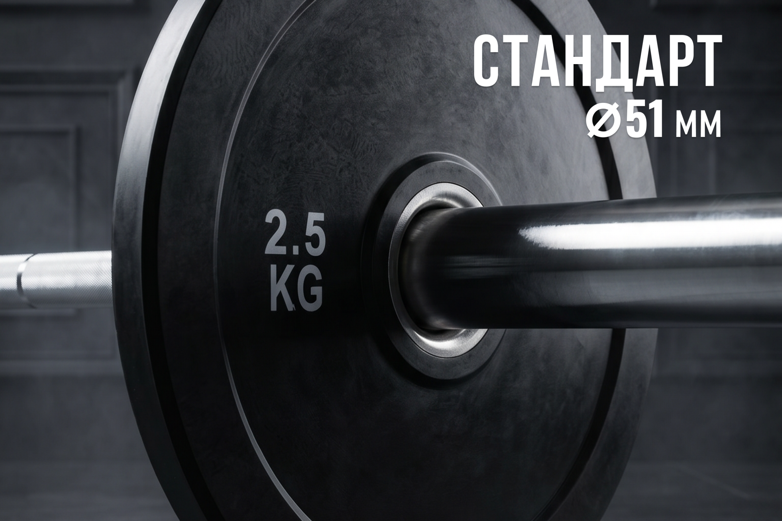 Диск бамперный 51 мм, обрезиненный 2,5 кг, VictoryFit VF-D51025