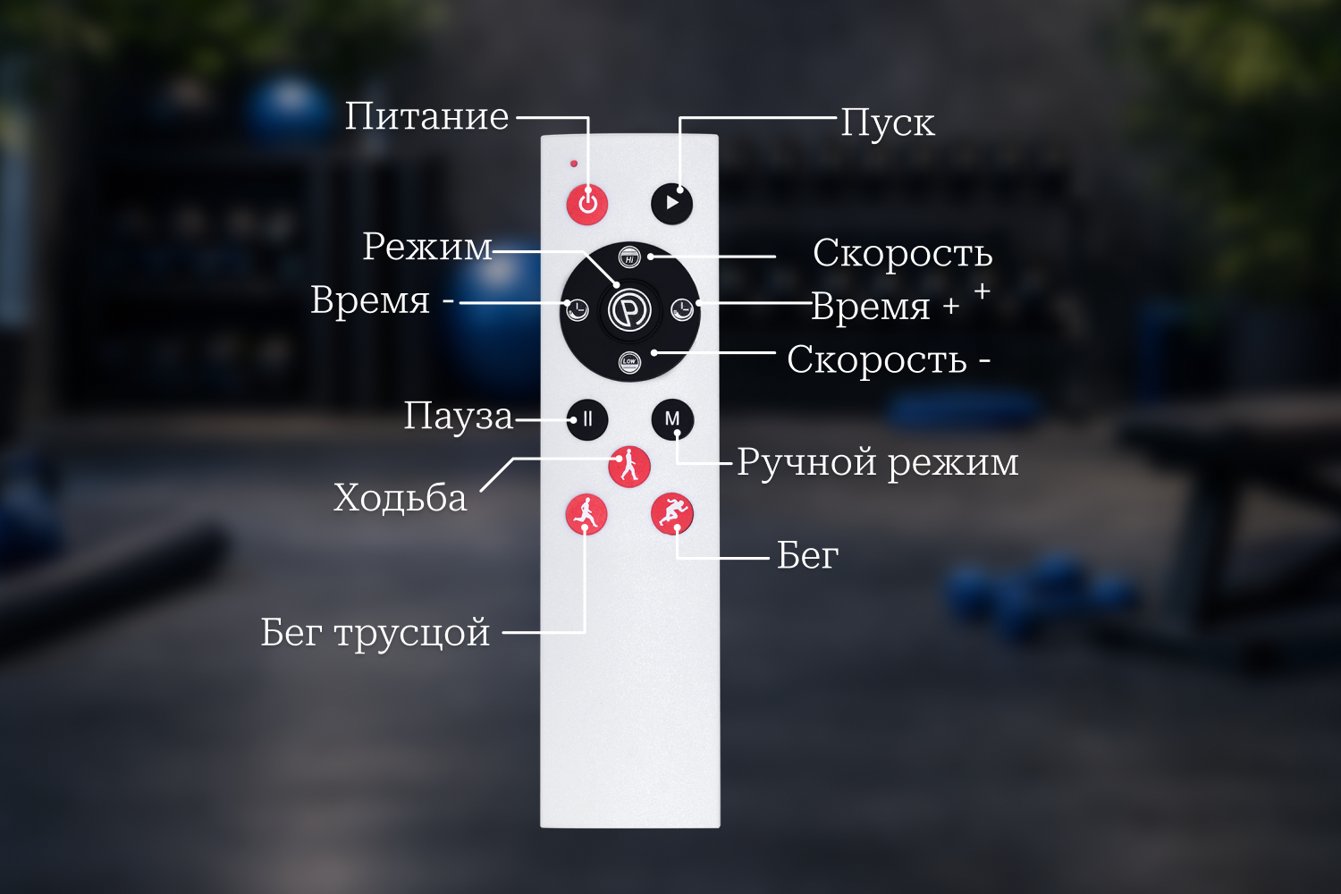 Виброплатформа VF-M810 Graphite